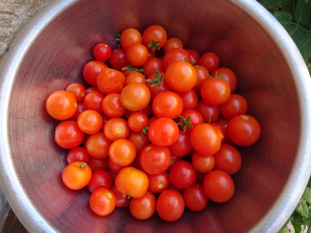 Freshly picked