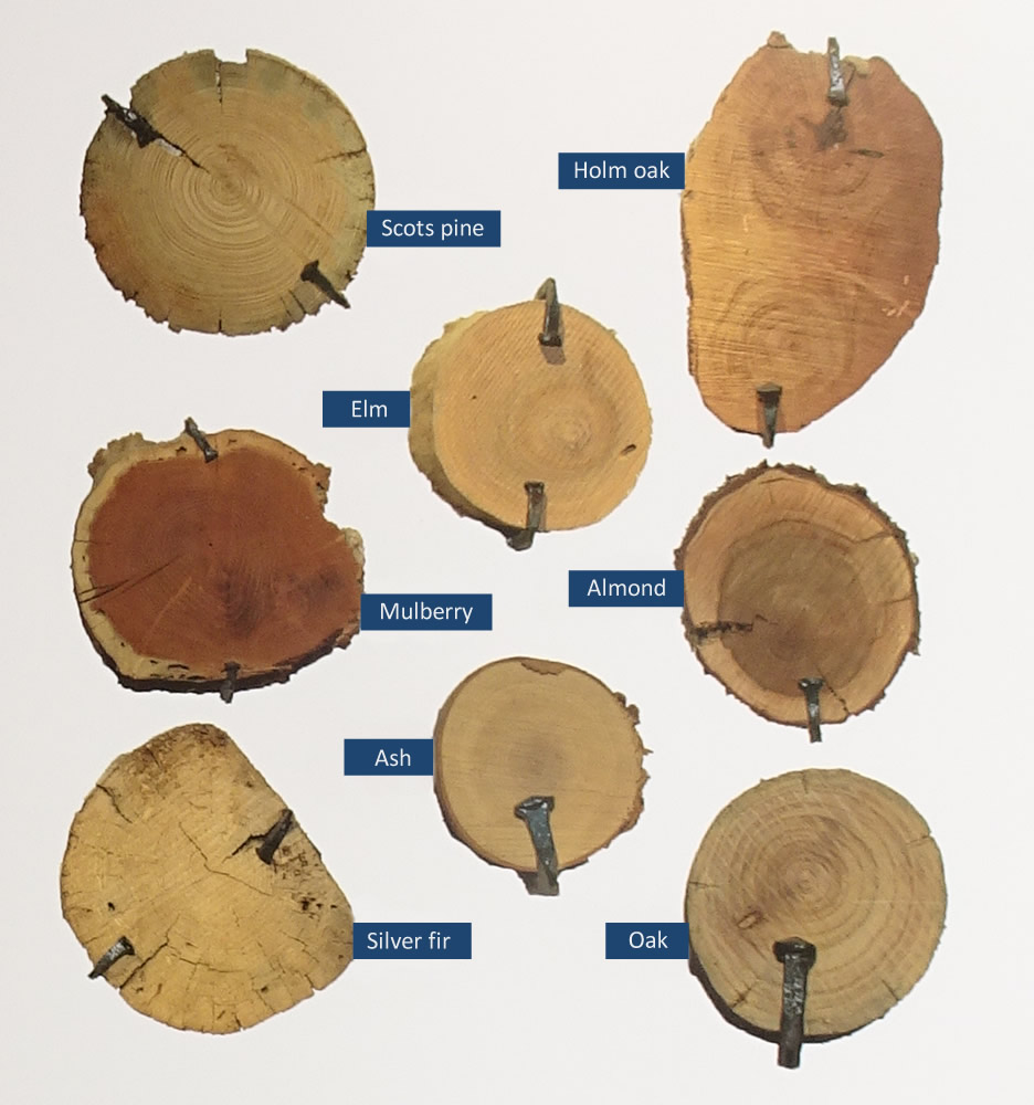 Wood used in boatbuilding