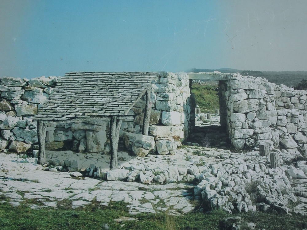 Artist impression of a shelter