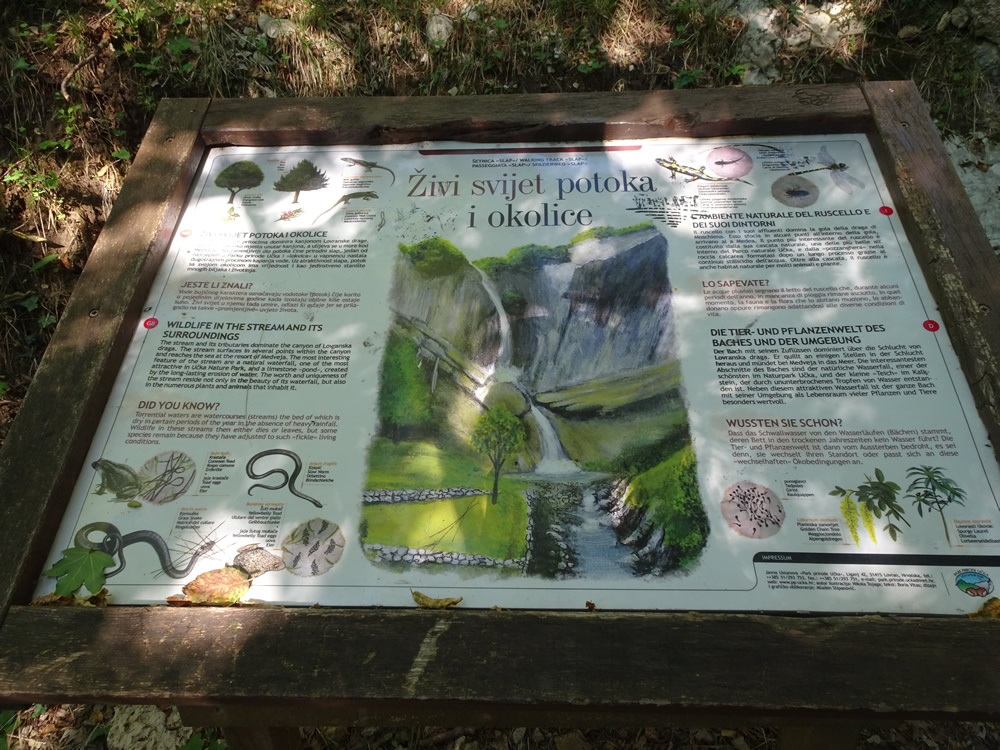 What it looks like with water!