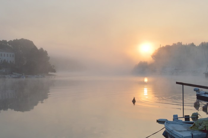 Ripples and reflections