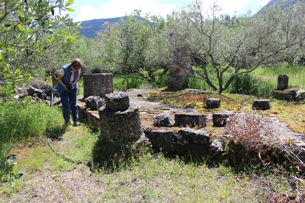 Searching in the grass