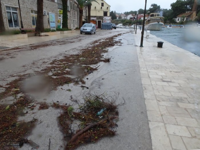 Debris marks high water