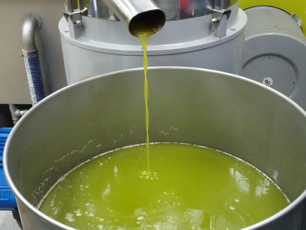 Olive oil!