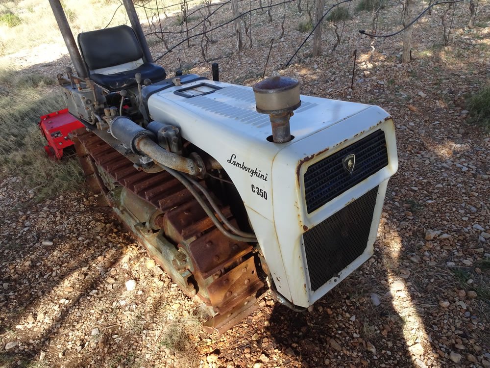 Field Lamborghini
