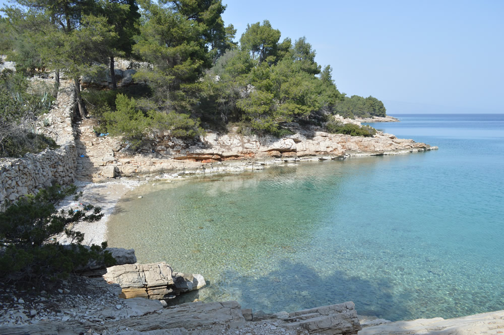 Maslinica cove